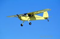 N2318N - N2318N in flight - by Wernher Krutein