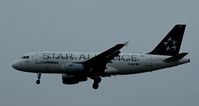 D-AILF @ EDDF - Lufthansa (Star Alliance cs.), seen here on finals at Frankfurt Rhein/Main(EDDF) - by A. Gendorf