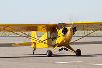 N98667 @ CGZ - Cactus fly in arrival - by olivier Cortot