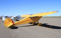 N38922 @ CGZ - Cactus fly in - by olivier Cortot