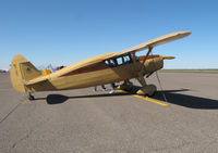 N81285 @ CGZ - Cactus fly in - by olivier Cortot