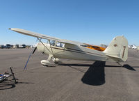 N90683 @ CGZ - Cactus fly in - by olivier Cortot