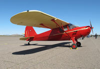 N93253 @ CGZ - cactus fly in - by olivier cortot