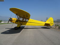 N88091 @ SZP - Locally-based 1946 Piper J3C-65 Cub @ Santa Paula Airport, CA painted as NC88091 - by Steve Nation