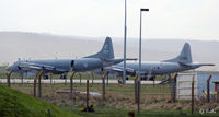 140104 @ EGQS - Pictured parked up at RAF Lossiemouth EGQS whilst participating in Exercise Joint Warrior 16/1. RCAF 14wg - alongside is P-3C 3296 of RNoAF  333 SKV - by Clive Pattle