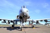 82-0648 @ LFSX - US Air Force Fairchild Republic A-10A Thunderbolt II, Static display, Luxeuil-Saint Sauveur Air Base 116 (LFSX) Open day 2015 - by Yves-Q