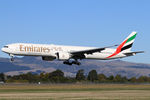 A6-EGH photo, click to enlarge A6-EGH photo, click to enlarge