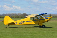 G-OGGY photo, click to enlarge G-OGGY photo, click to enlarge