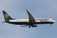 EI-DYZ photo, click to enlarge EI-DYZ photo, click to enlarge