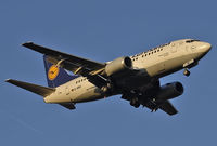 D-ABIU @ EDDK - On Approach to Runway 14L at EDDK D-ABIU @ EDDK - On Approach to Runway 14L at EDDK