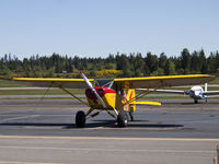 N4660H @ KPWT - 1948 Piper at Bremerton. - by Eric Olsen