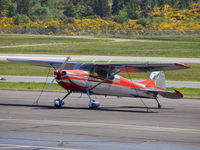 N3193A @ KPWT - Cessna 170B at Bremerton. - by Eric Olsen