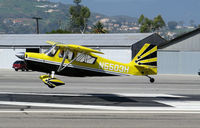 N5503H @ SZP - Locally-based 1978 Bellanca 8KCAP Super Decathlon flaring for landing @ Santa Paula Airport, CA - by Steve Nation