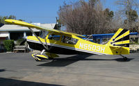 N5503H @ SZP - Locally-based 1978 Bellanca 8KCAP Super Decathlon @ Santa Paula Airport, CA - by Steve Nation