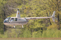 OO-NRG @ EBUL - Visitor of the precision landing contest EBUL. - by Stef Van Wassenhove