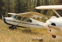 N85725 @ 8U4 - 725 at Spotted Bear.
