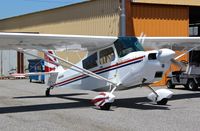 N5062C @ KRHV - Locally-based 1979 Bellanca 8KCAB testing the engine in bright sunshine at Reid Hillview Airport, San Jose, CA. - by Chris Leipelt