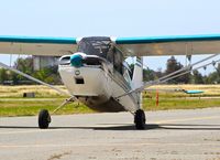 N9091L @ KRHV - Locally-based 1970 Champion 7ECA taxing out for departure at Reid Hillview Airport, San Jose, CA. - by Chris Leipelt