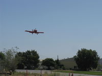 N184RF photo, click to enlarge