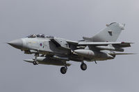 ZD716 photo, click to enlarge