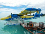 8Q-TMQ photo, click to enlarge