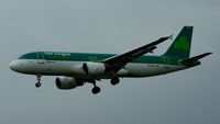 EI-DEJ photo, click to enlarge EI-DEJ photo, click to enlarge