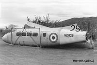 NZ1829 - signals trainer - by Peter Lewis