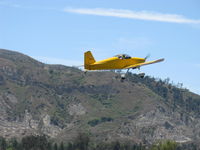 N406L photo, click to enlarge