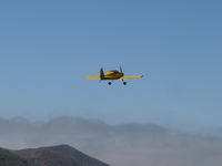 N406L photo, click to enlarge