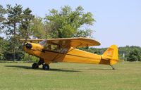N98006 @ 88C - Piper J3C-65 - by Mark Pasqualino