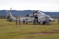 N24-010 @ YWOL - N24-010 Wings over Illawarra 2016