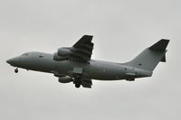 ZE708 @ EGSH - Return Visitor. - by keithnewsome