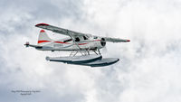 N1108Q - Ketchikan Alaska - by Terry Green