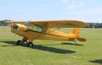 N50694 @ KOSH - Piper J3C-65 - by Mark Pasqualino
