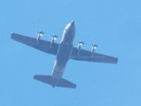 ZH886 - Flew over my garden. - by Luke Smith-Whelan