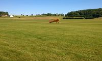 N28BU @ 2D7 - Father's Day breakfast fly in at Beach City, Ohio - by Bob Simmermon
