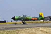 N8181C @ KPAE - Cj-6 heading taxing out for flight. - by Eric Olsen