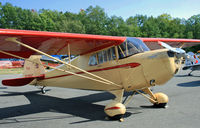 N378GF @ 4N1 - I was only too happy to give up watching some of the airshow performers to catch this beautiful aircraft.  This was also the first time I saw a Cub Coupe up close. - by Daniel L. Berek