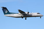 ZK-NEC photo, click to enlarge