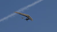 OE-6198 photo, click to enlarge OE-6198 photo, click to enlarge
