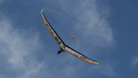 OE-6198 photo, click to enlarge OE-6198 photo, click to enlarge