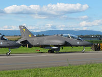 HW-345 - note the warthog on the tail - by olivier Cortot