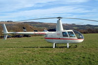 G-ODHG @ EGBC - Robinson R-44 Raven [1024] Cheltenham Racecourse~G 16/03/2004