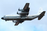 7T-WHN @ EPRZ - 7T-WHN Lokheed C-130H-30 Hercules, Algerian Air Force - by Marek Maślanka EPRZ Spotters