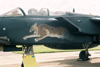 MM7005 @ EGVA - On static display at 2007 RIAT. - by kenvidkid