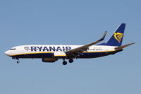 EI-DWM photo, click to enlarge EI-DWM photo, click to enlarge