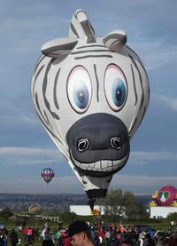 N20ZB - Albuquerque International Balloon Fiesta
