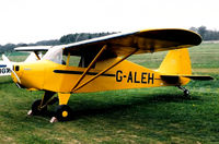 G-ALEH @ EGHP - At a Popham fly-in circa 2006. - by kenvidkid