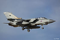 ZD742 photo, click to enlarge ZD742 photo, click to enlarge