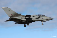 ZD742 photo, click to enlarge ZD742 photo, click to enlarge